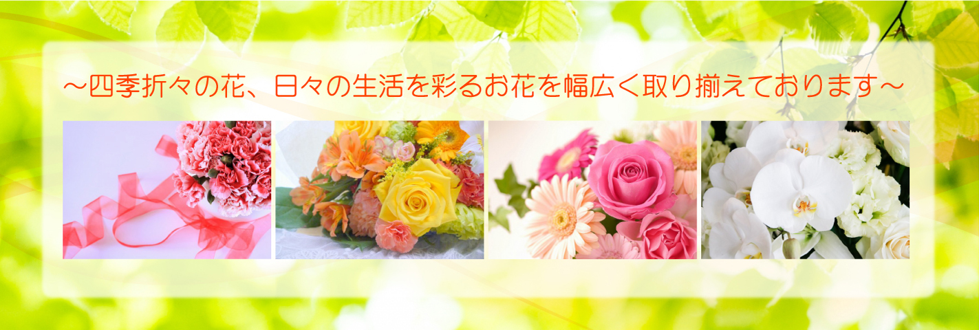~四季折々の花、日々の生活を彩るお花を幅広く取り揃えております~